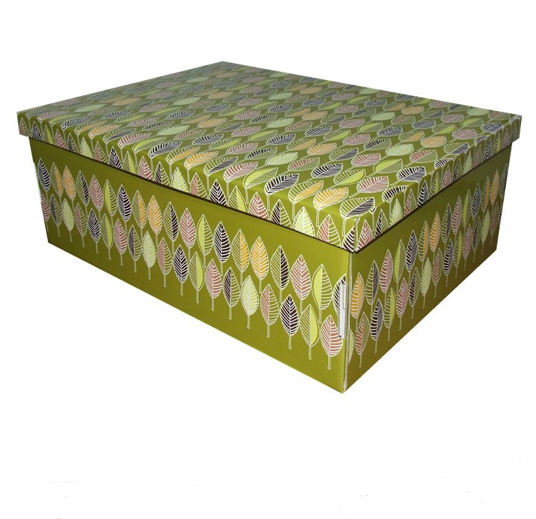 storage cardboard boxes(2).jpg