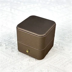 گۇاڭجۇ زىبۇزىننەت ساندۇقى